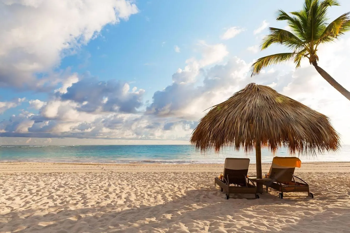 Hotel Neon Punta Cana 0*,